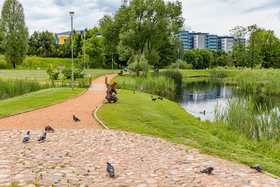 Vilniaus šienavimo sezonas: tarp patogumo miestiečiams ir tvarumo