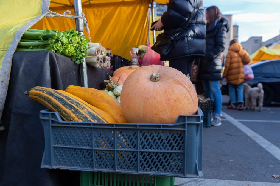 Į Kauno turgavietes – ir maisto, ir vaisto