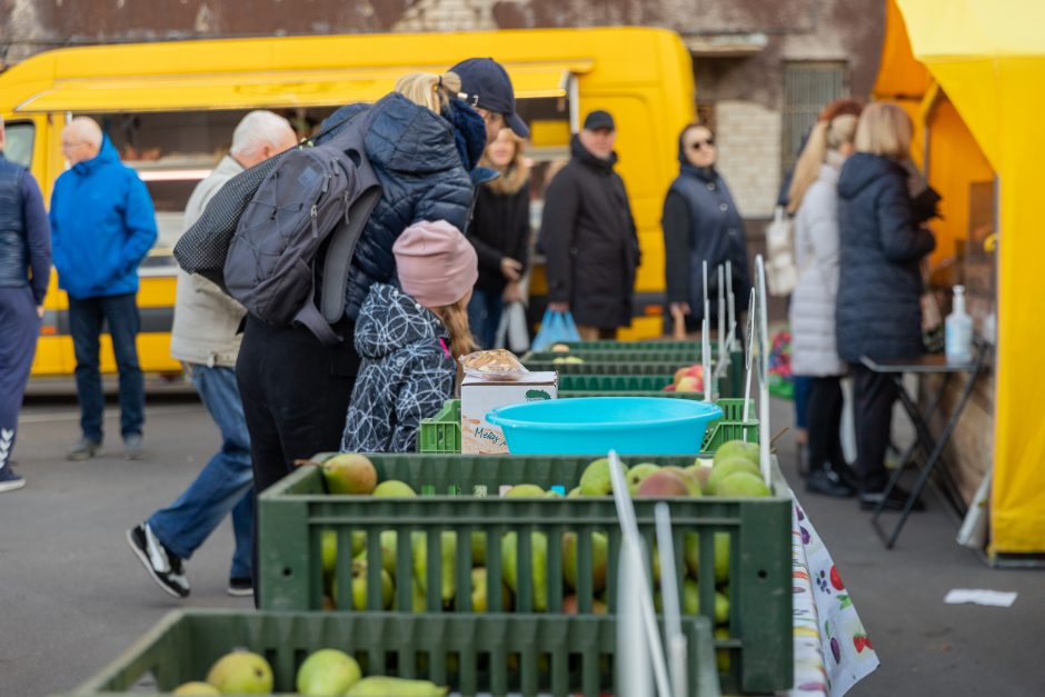 Į Kauno turgavietes – ir maisto, ir vaisto