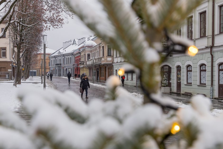 Vilniaus gatvė: ar ne per anksti liejasi kritika?