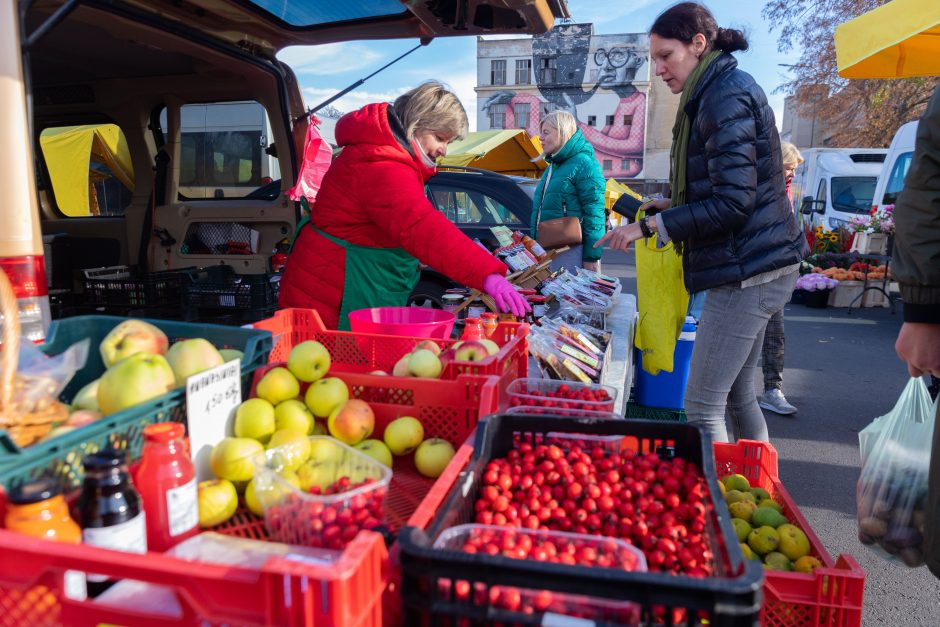 Į Kauno turgavietes – ir maisto, ir vaisto