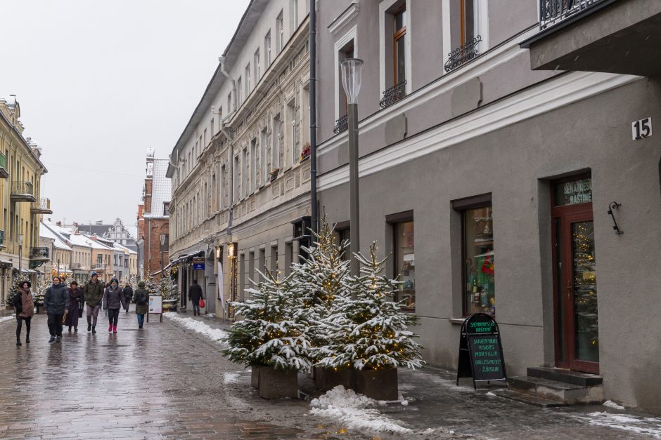 Vilniaus gatvė: ar ne per anksti liejasi kritika?