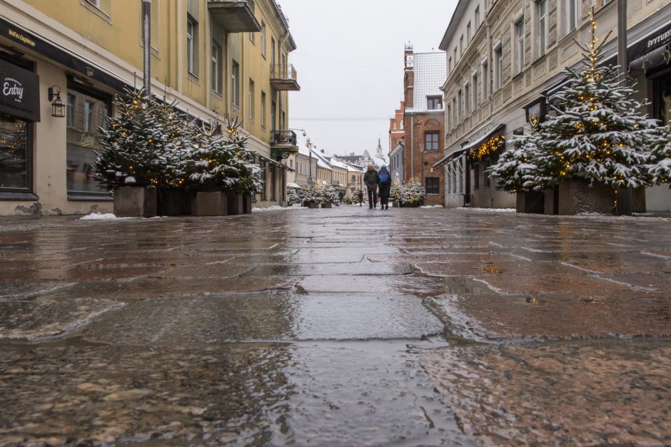 Vilniaus gatvė: ar ne per anksti liejasi kritika?