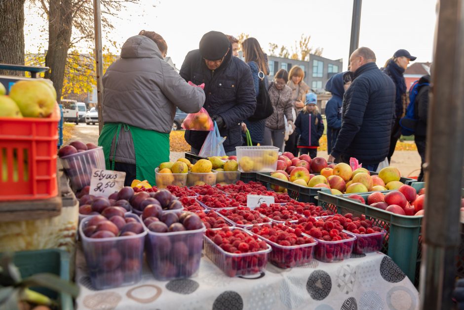 Į Kauno turgavietes – ir maisto, ir vaisto