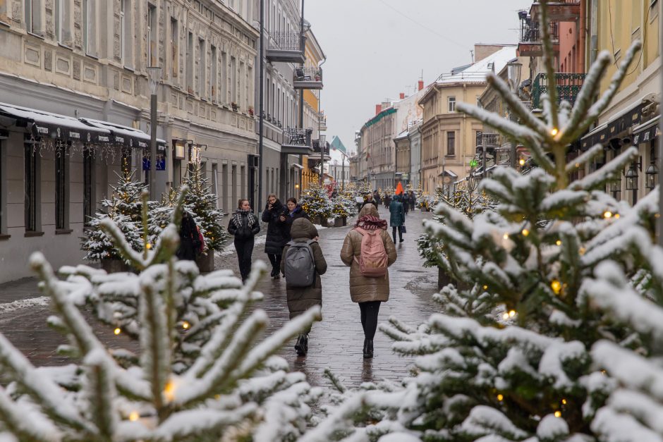 Vilniaus gatvė: ar ne per anksti liejasi kritika?