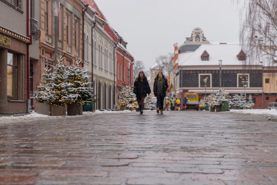 Vilniaus gatvė: ar ne per anksti liejasi kritika?