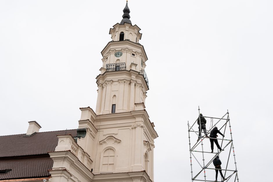 Kauno eglė jau pasirodė visu gražumu: ką mano miestiečiai?