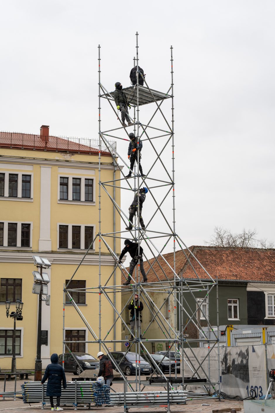 Kauno eglė jau pasirodė visu gražumu: ką mano miestiečiai?