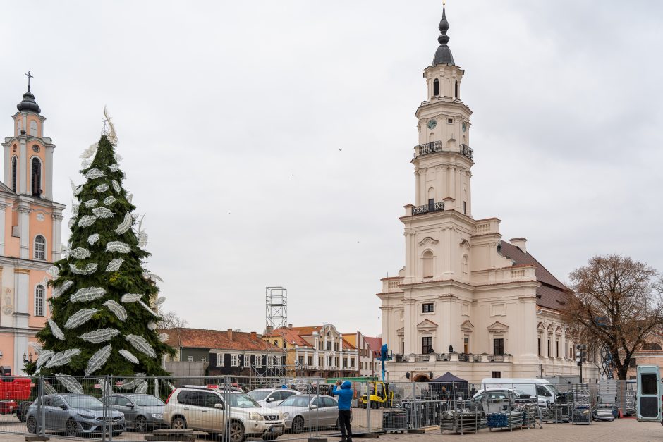 Kauno eglė jau pasirodė visu gražumu: ką mano miestiečiai?