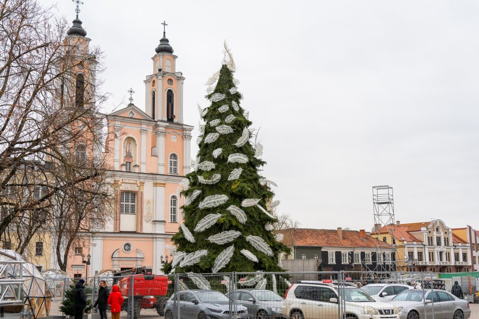 Kauno eglė jau pasirodė visu gražumu: ką mano miestiečiai?