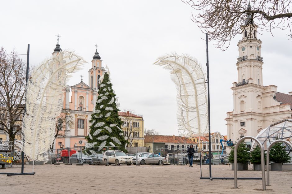 Kauno eglė jau pasirodė visu gražumu: ką mano miestiečiai?