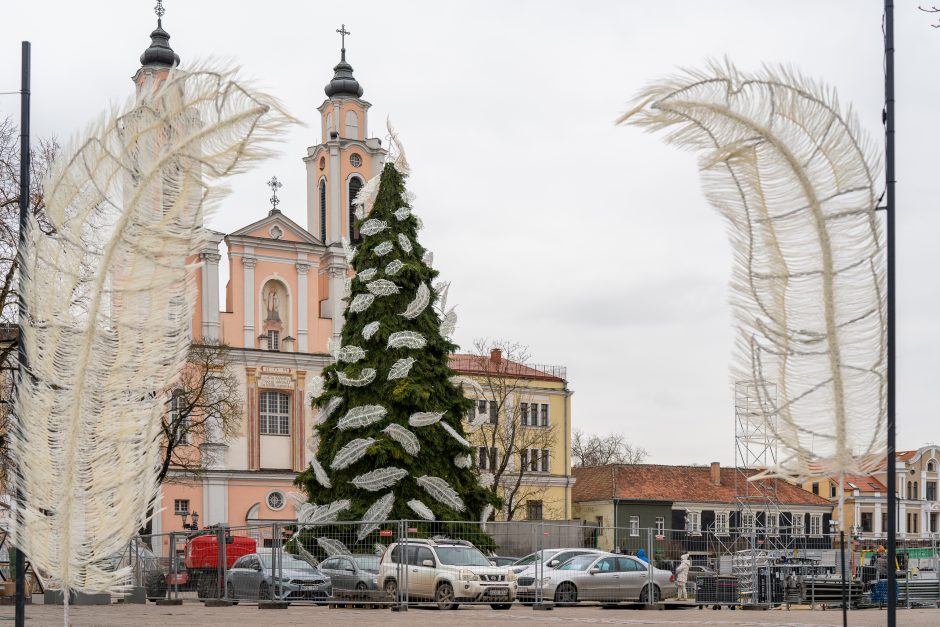 Kauno eglė jau pasirodė visu gražumu: ką mano miestiečiai?