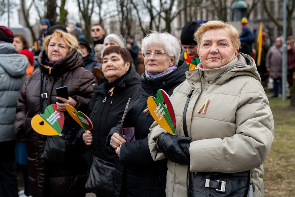 Vasario 16-oji Kaune – su šimtais vėliavų ir pasididžiavimo jausmu