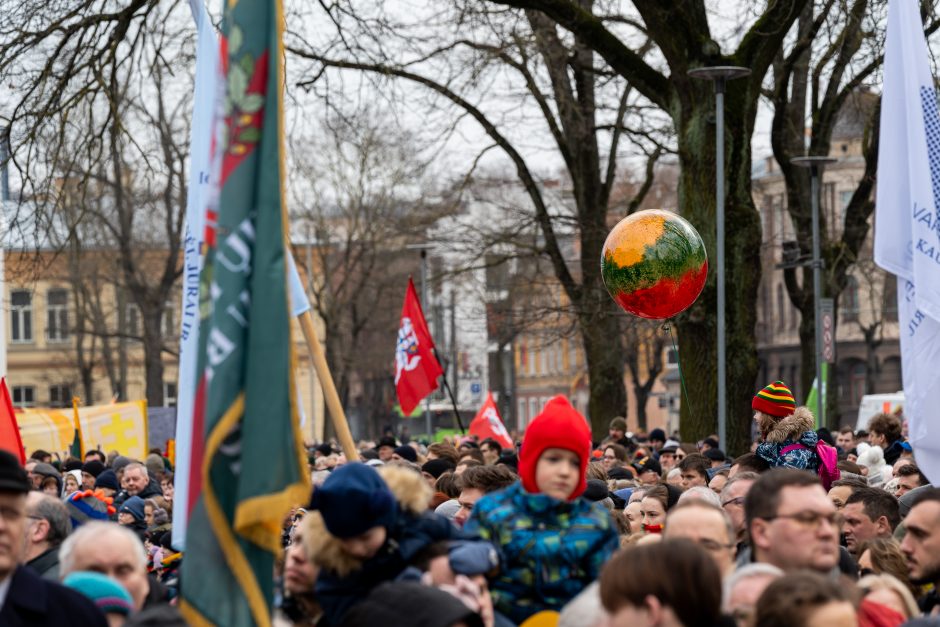 Vasario 16-oji Kaune – su šimtais vėliavų ir pasididžiavimo jausmu