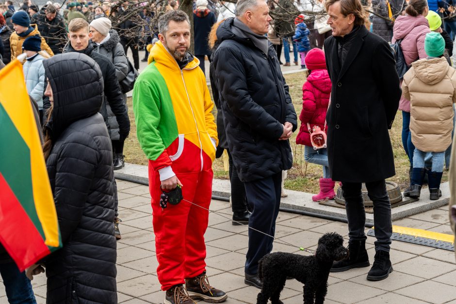 Vasario 16-oji Kaune – su šimtais vėliavų ir pasididžiavimo jausmu