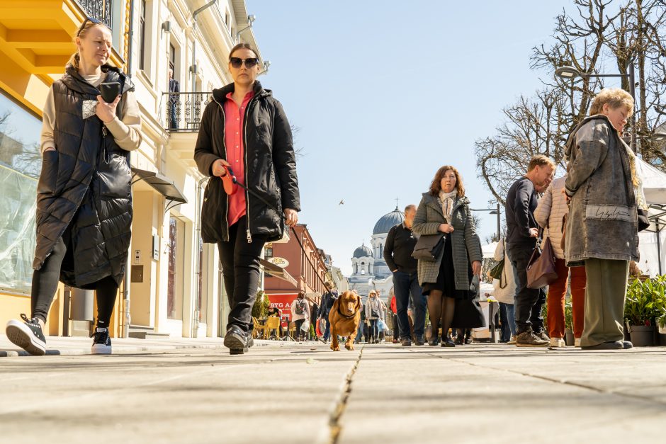 Ant prekystalių Laisvės alėjoje – nuo šokolado su grybais iki dizainerių suknelių