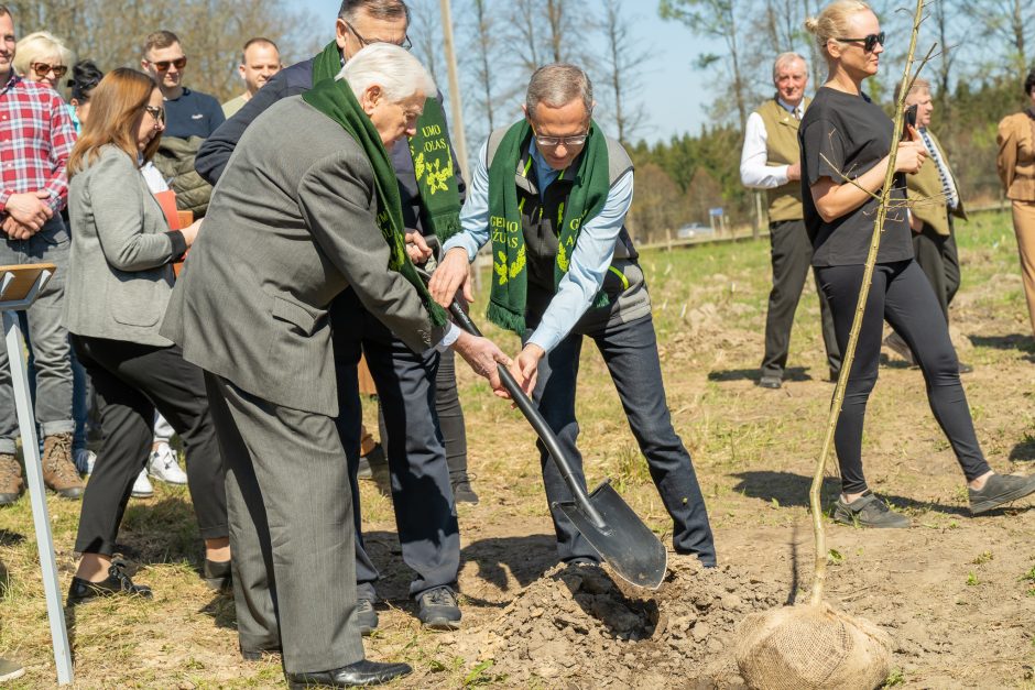 Pasodintas „Ukrainos aukų atminties ąžuolynas“