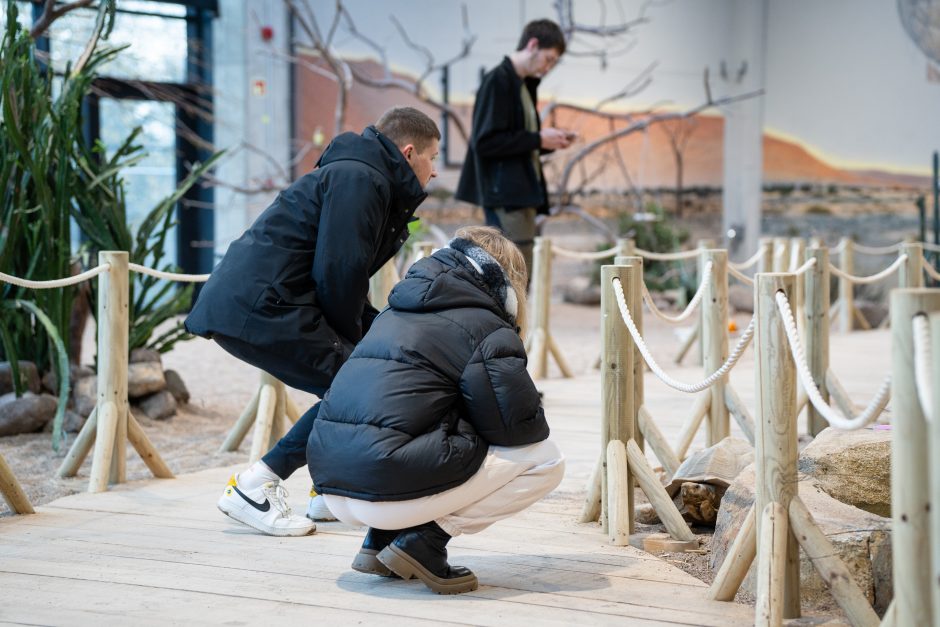 Pirmųjų Zoologijos sodo lankytojų įspūdžiai: gražu, tvarkinga, akį traukia egzotiniai gyvūnai