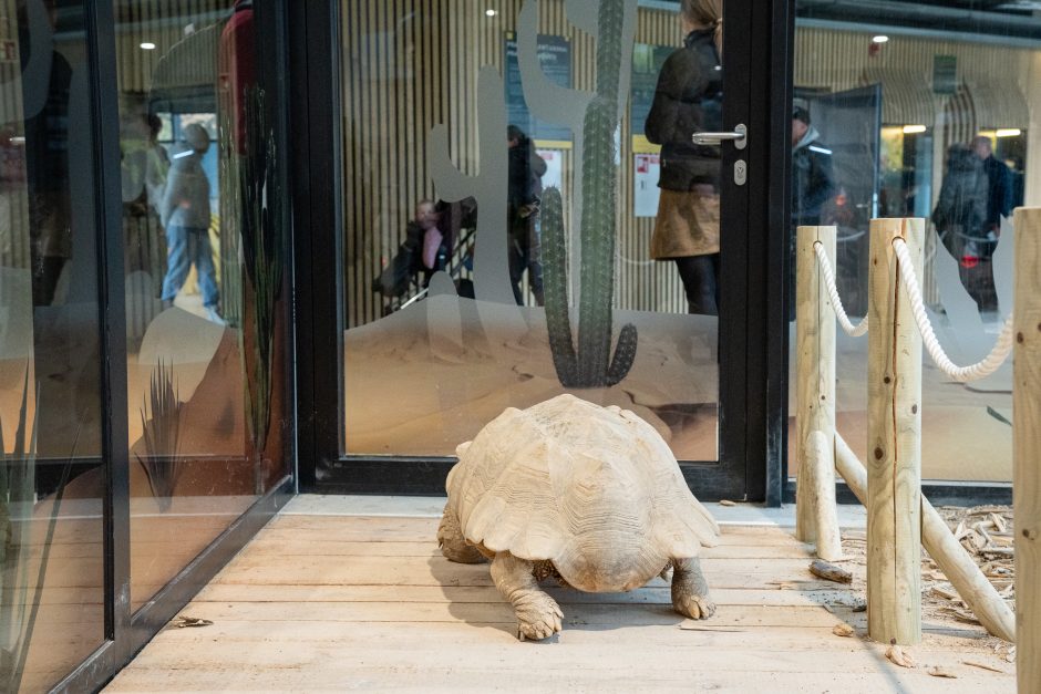 Pirmųjų Zoologijos sodo lankytojų įspūdžiai: gražu, tvarkinga, akį traukia egzotiniai gyvūnai