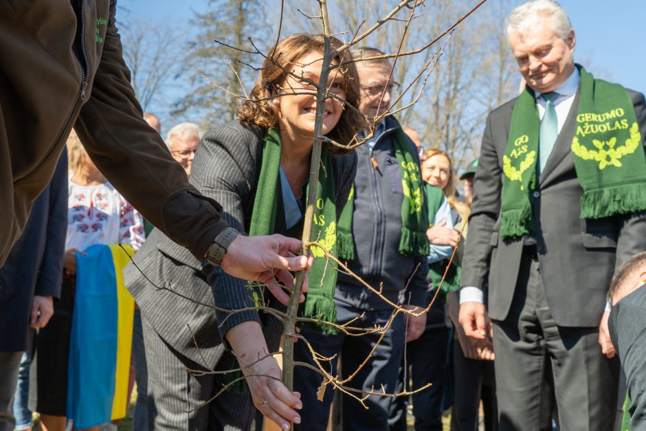 Pasodintas „Ukrainos aukų atminties ąžuolynas“