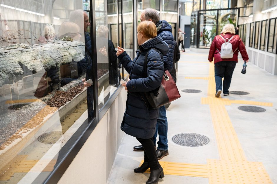 Pirmųjų Zoologijos sodo lankytojų įspūdžiai: gražu, tvarkinga, akį traukia egzotiniai gyvūnai