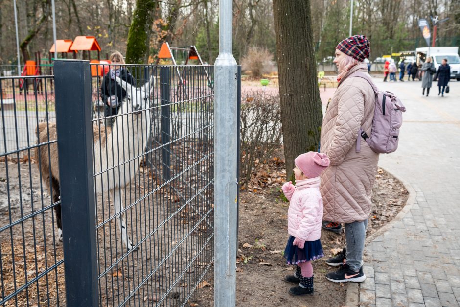 Pirmųjų Zoologijos sodo lankytojų įspūdžiai: gražu, tvarkinga, akį traukia egzotiniai gyvūnai