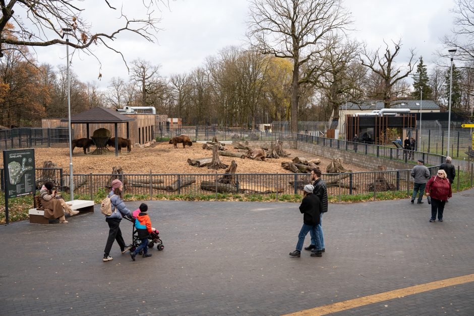 Pirmųjų Zoologijos sodo lankytojų įspūdžiai: gražu, tvarkinga, akį traukia egzotiniai gyvūnai