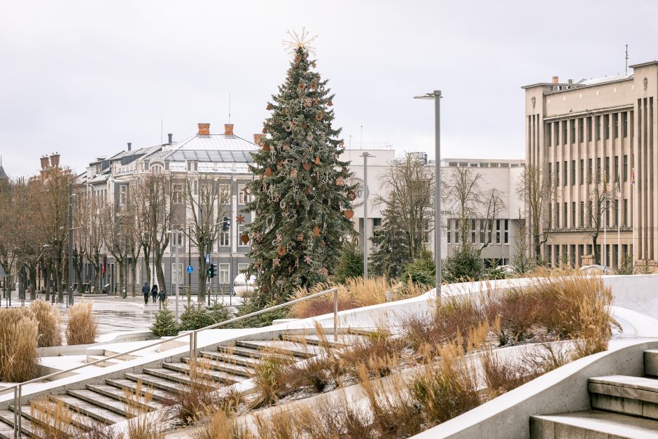 Kauno eglutė skaičiuoja paskutines dienas