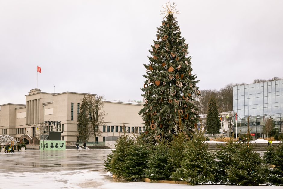 Kauno eglutė skaičiuoja paskutines dienas