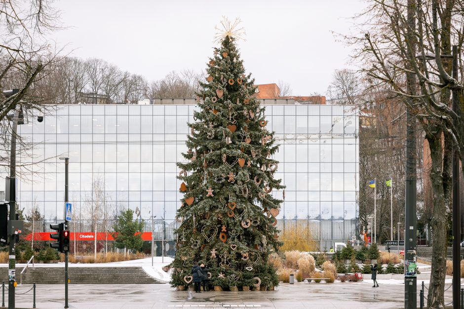 Kauno eglutė skaičiuoja paskutines dienas