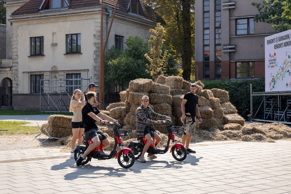 Pasiruošimas „Red Bull muilinių lenktynėms“