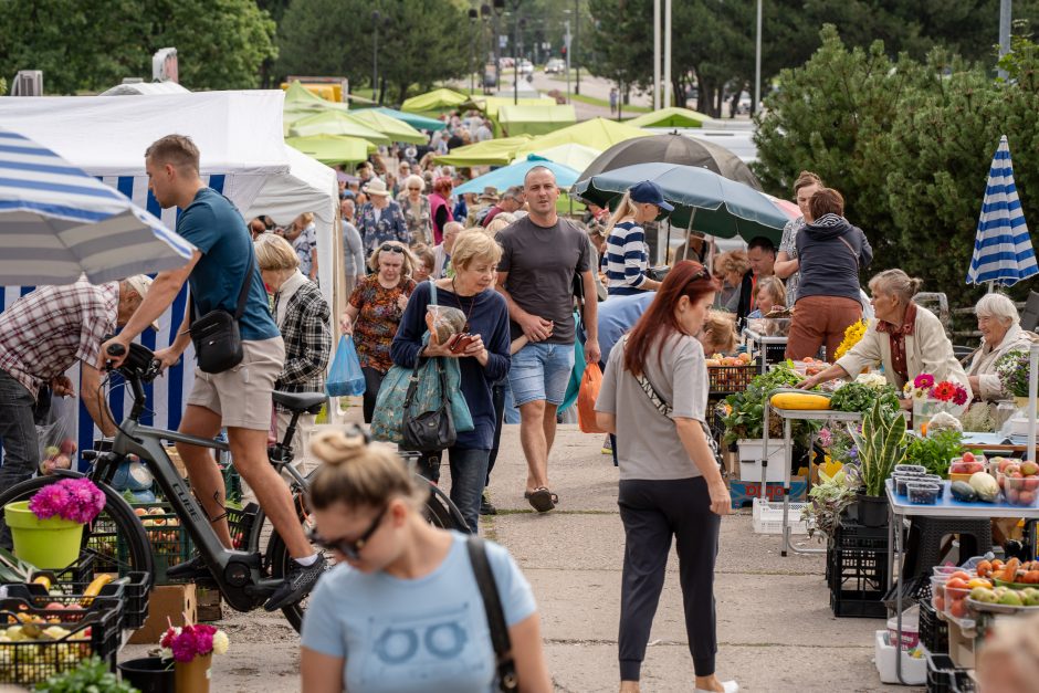 Auksiniai grybai: už kilogramą baravykų – 20 eurų