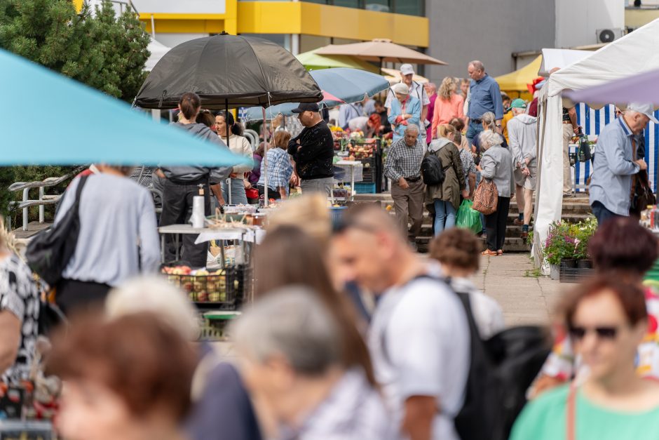 Auksiniai grybai: už kilogramą baravykų – 20 eurų