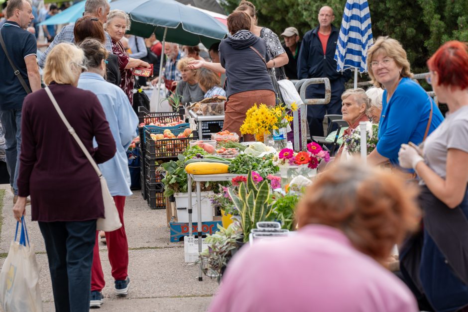 Auksiniai grybai: už kilogramą baravykų – 20 eurų