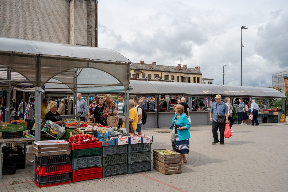 Auksiniai grybai: už kilogramą baravykų – 20 eurų