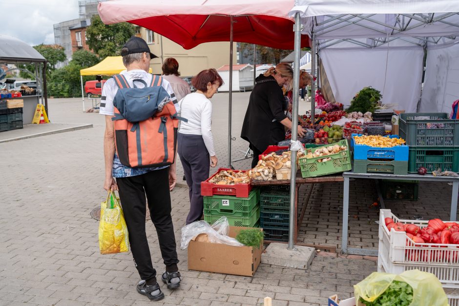 Auksiniai grybai: už kilogramą baravykų – 20 eurų