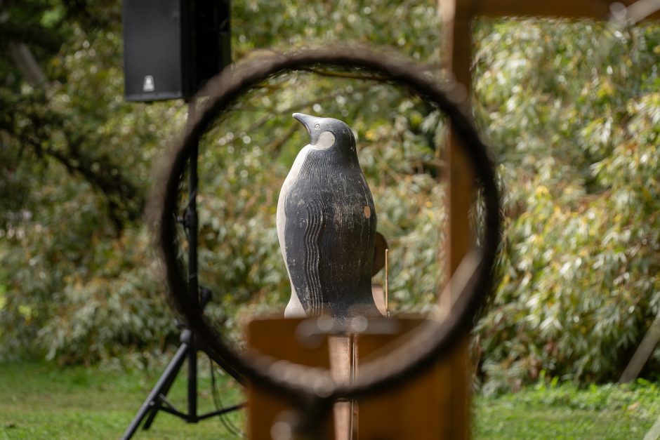 Festivalis „ConTempo“. Pieter Post (Nyderlandai) – The turtle