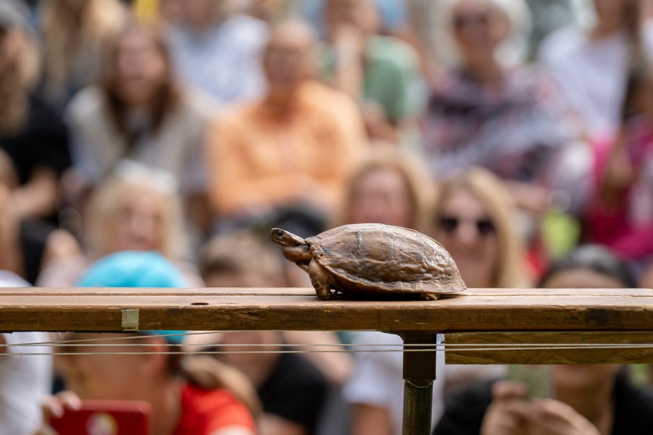 Festivalis „ConTempo“. Pieter Post (Nyderlandai) – The turtle