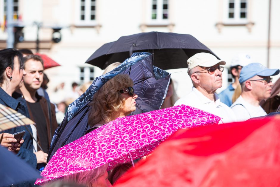 Prezidento inauguracijos koncertas: pasirodė atlikėjai iš skirtingų apskričių