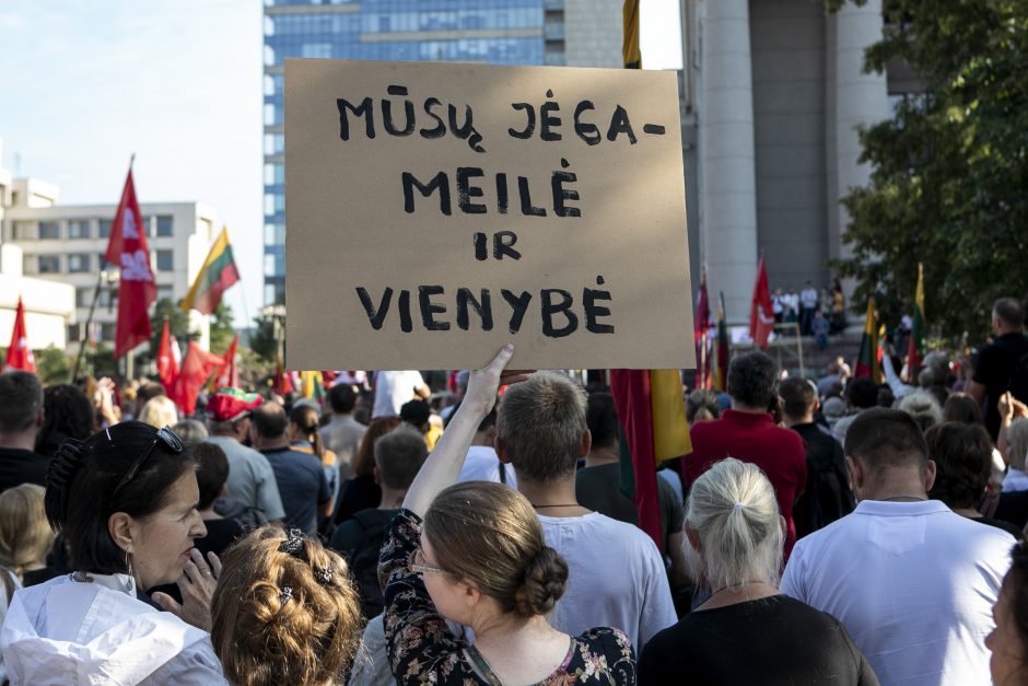 Protestas neapsiėjo be incidentų: sumuštas žmogus, sulaikyti du girti ir vienas su narkotikais