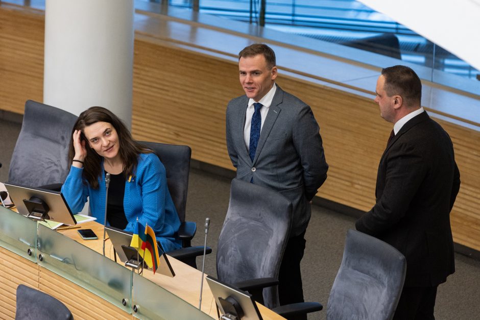 M. Lingė išrinktas Seimo Biudžeto ir finansų komiteto pirmininku