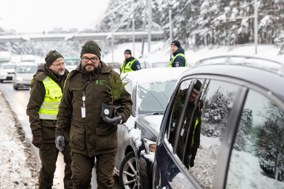 Penktadienį – miškininkų ir policijos akcija: vairuotojams dovanojo eglutes