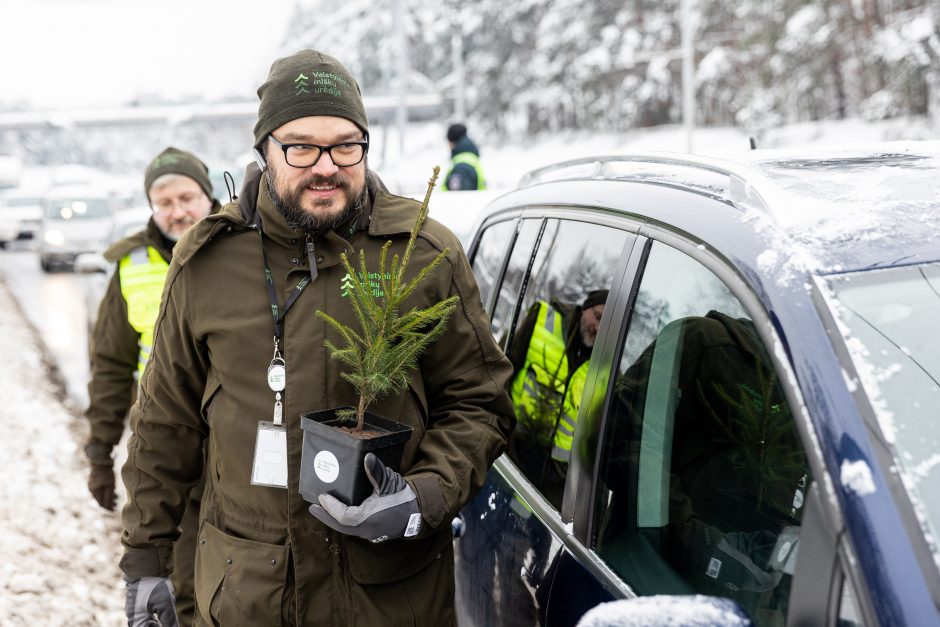 Penktadienį – miškininkų ir policijos akcija: vairuotojams dovanojo eglutes