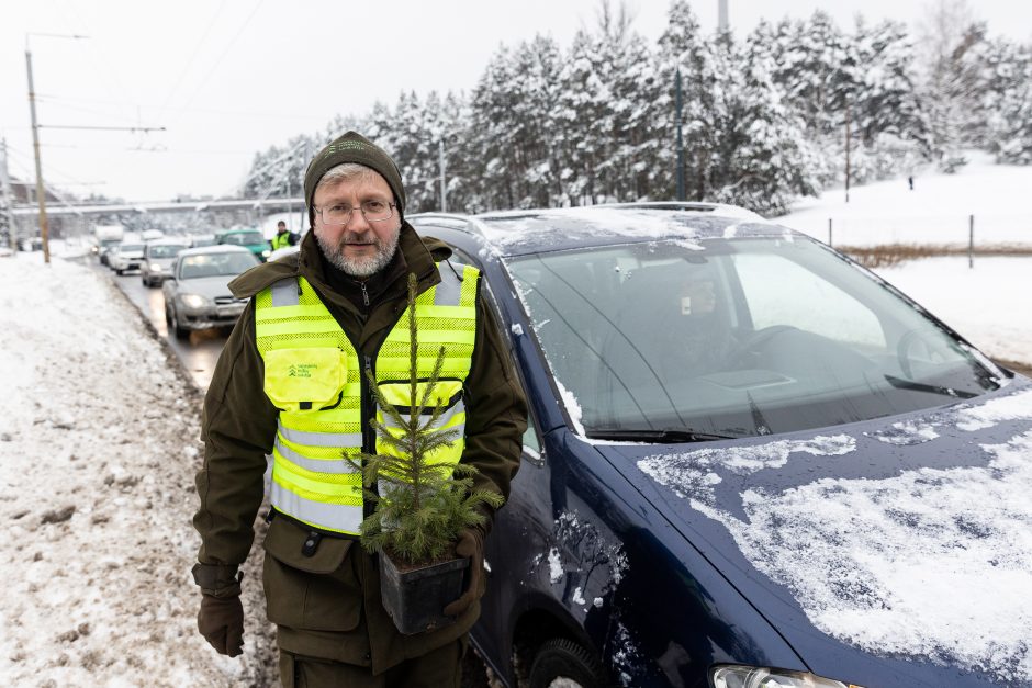 Penktadienį – miškininkų ir policijos akcija: vairuotojams dovanojo eglutes