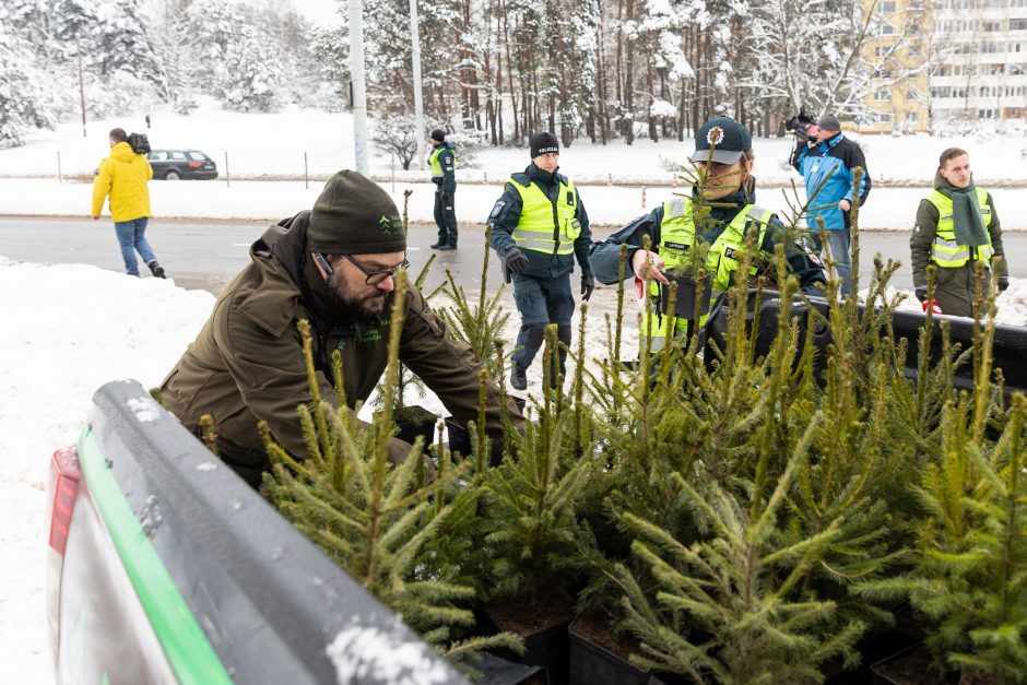 Penktadienį – miškininkų ir policijos akcija: vairuotojams dovanojo eglutes