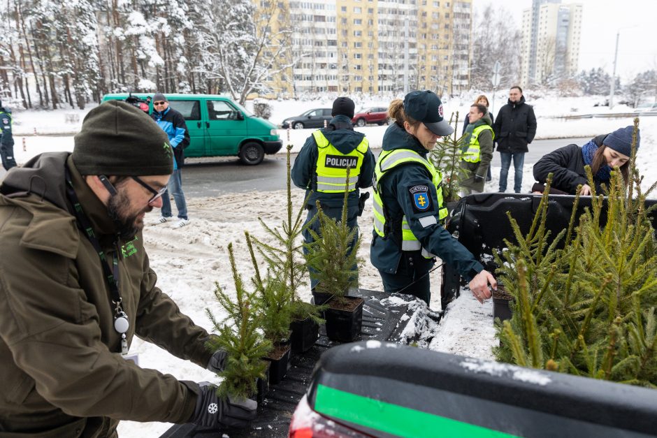 Penktadienį – miškininkų ir policijos akcija: vairuotojams dovanojo eglutes