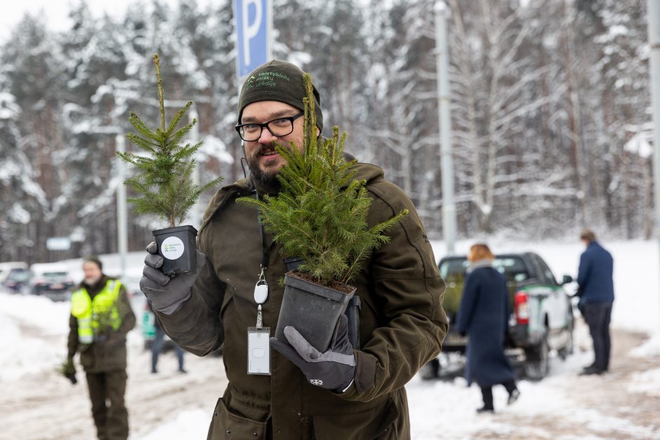 Penktadienį – miškininkų ir policijos akcija: vairuotojams dovanojo eglutes