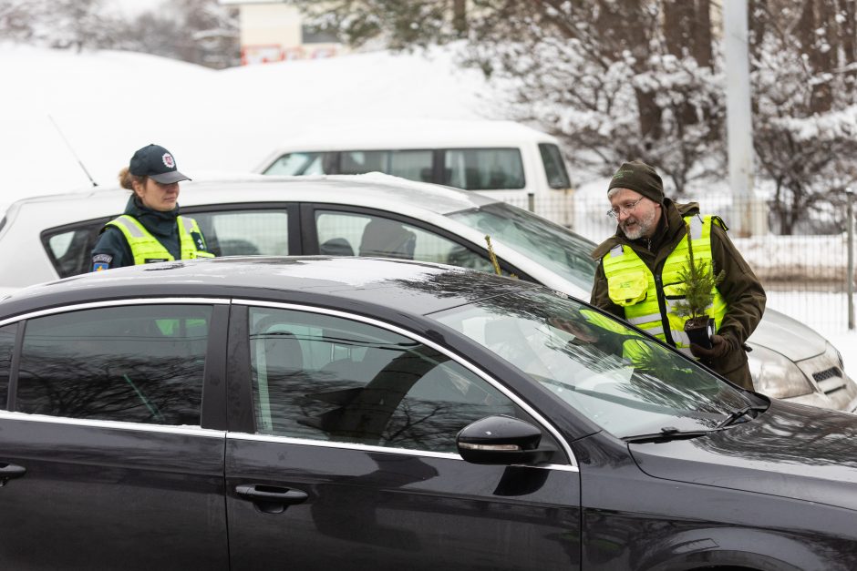 Penktadienį – miškininkų ir policijos akcija: vairuotojams dovanojo eglutes