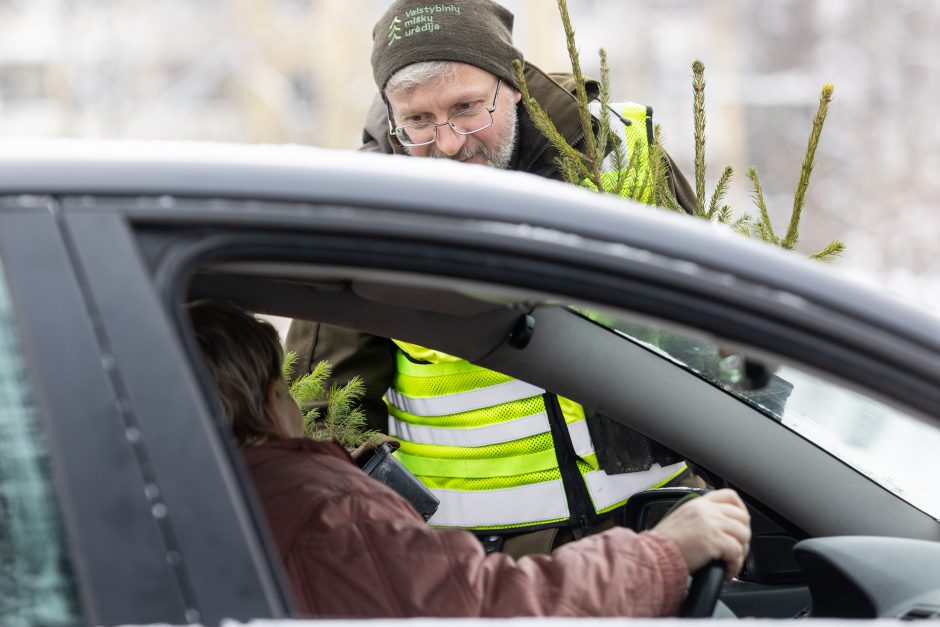 Penktadienį – miškininkų ir policijos akcija: vairuotojams dovanojo eglutes