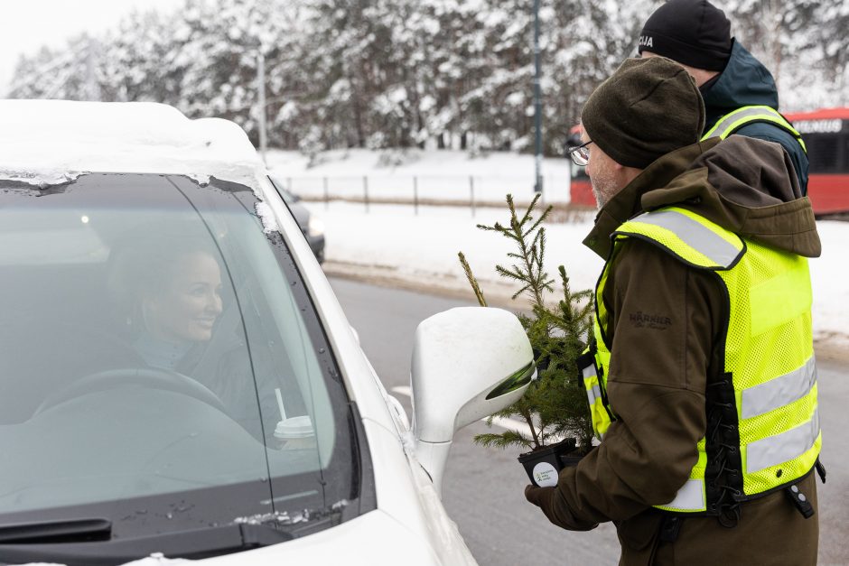 Penktadienį – miškininkų ir policijos akcija: vairuotojams dovanojo eglutes